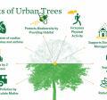 Image showing the benefit of urban trees including health, bio-diversity, stormwater, stress, and more.