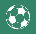 a soccer ball icon
