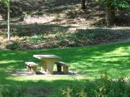 Lower City Park Play Picnic Table