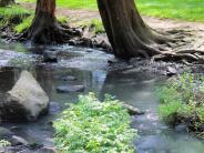 Creek Running Through Lower City Park 