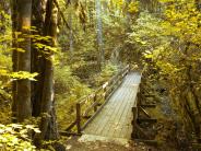 Bridge Path at Galen McBee Airport Park