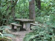 Picnic Table at Galen McBee Airport Park