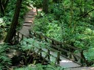 Bridge Path at Galen McBee Airport Park