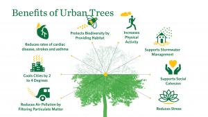 Image showing the benefit of urban trees including health, bio-diversity, stormwater, stress, and more.