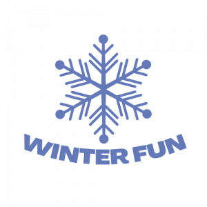 winter fun snowflake icon