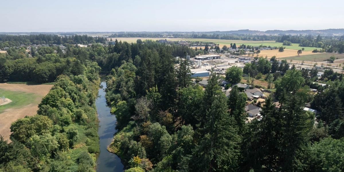 Riparian Corridor in McMinnville Riparian Corridor in McMinnville