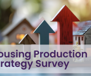 Housing Production Strategy Survey