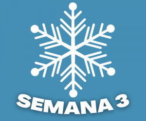 snowflake semana tres