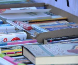 Book Donation Picture