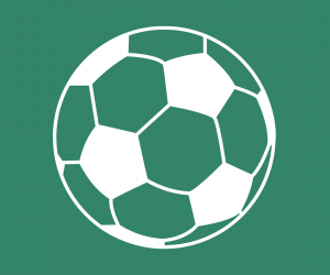 a soccer ball icon