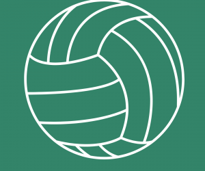 A volleyball icon