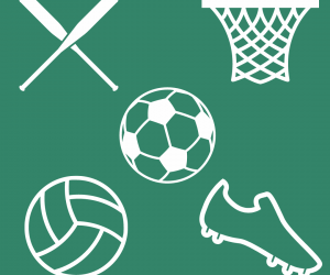 Recreational Sports icon